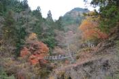DSC_2878-20151122-512