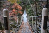 DSC_2890-20151122-512