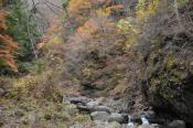 DSC_2927-20151122-512