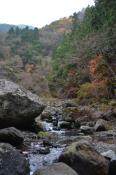 DSC_2930-20151122-512