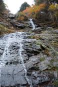 DSC_2949-20151122-512