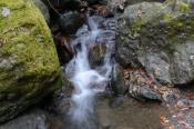 DSC_2974-20151122-512