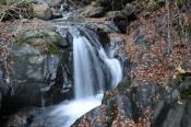 DSC_2985-20151122-512