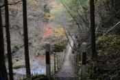 DSC_3016-20151122-512