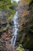 DSC_3020-20151122-512