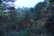DSC_1279-20101009-512