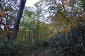 DSC_1287-20101009-512