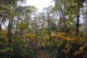 DSC_1289-20101009-512