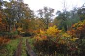DSC_1293-20101009-512