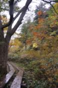 DSC_1296-20101009-512