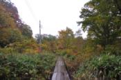 DSC_1299-20101009-512