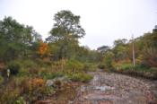 DSC_1303-20101009-512