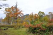 DSC_1310-20101009-512