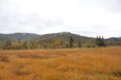 DSC_1317-20101009-512