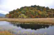 DSC_1324-20101009-512