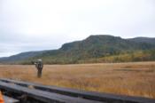 DSC_1329-20101009-512