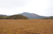 DSC_1331-20101009-512