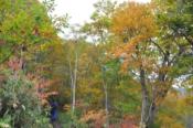 DSC_1358-20101009-512