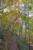 DSC_1361-20101009-512