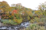 DSC_1366-20101009-512
