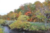 DSC_1370-20101009-512