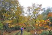 DSC_1410-20101009-512