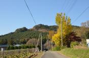 DSC_3294-20111123-512