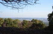 DSC_3322-20111123-512