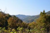 DSC_3329-20111123-512