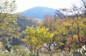 DSC_3337-20111123-512