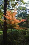 DSC_3351-20111123-512