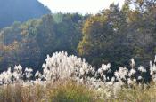 DSC_3355-20111123-512