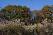 DSC_3360-20111123-512