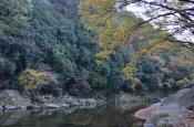 DSC_3362-20111123-512