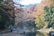 DSC_3377-20111123-512