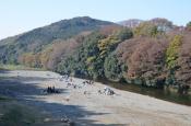 DSC_3389-20111123-512