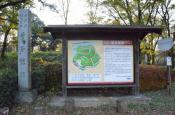 DSC_3409-20111123-512