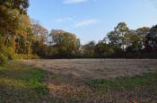 DSC_3411-20111123-512