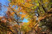 DSC_3999-20161112-512