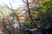 DSC_4030-20161112-512