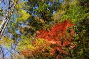 DSC_4080-20161112-512