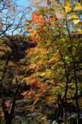DSC_4085-20161112-512