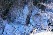 DSC_4109-20161112-512