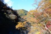 DSC_4110-20161112-512