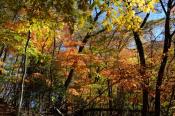 DSC_4139-20161112-512