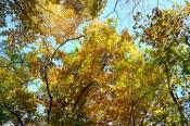 DSC_4189-20161112-512