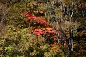 DSC_4202-20161112-512