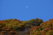 DSC_4221-20161112-512