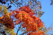 DSC_4260-20161112-512