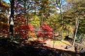 DSC_4280-20161112-512
